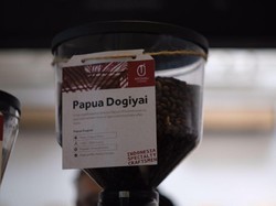 Pencinta Kopi, Ini Kopi Papua Dogiyai yang Unik Semerbak