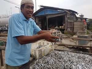 Garam Langka, Ini Curhat Pedagang Ikan Asin