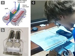 10 Lulusan yang Paling Sulit Cari Kerja, Jurusan Apa Saja?