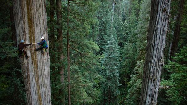 Deretan Foto Menawan yang Bikin Dengkul Gemetar