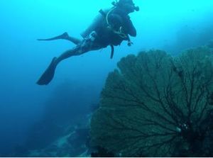 Ikuti Ragam Acara Menarik di Sail Sabang 2017