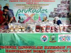 Beragam Upaya Kemendes Besarkan Prukades dan BUMDes di Perdesaan