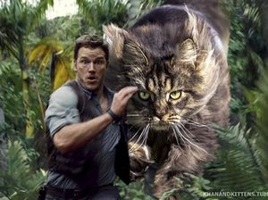 Ketika Kucing Gantikan Dinosaurus di Jurassic Park