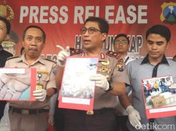 Polda Jatim Gagalkan Penyelundupan Bayi Lobster dari Banyuwangi