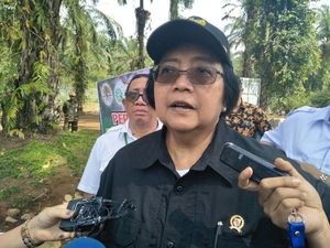 KLHK akan Pasang Camera Trap untuk Pastikan Jejak Harimau Jawa