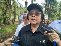 KLHK akan Pasang Camera Trap untuk Pastikan Jejak Harimau Jawa