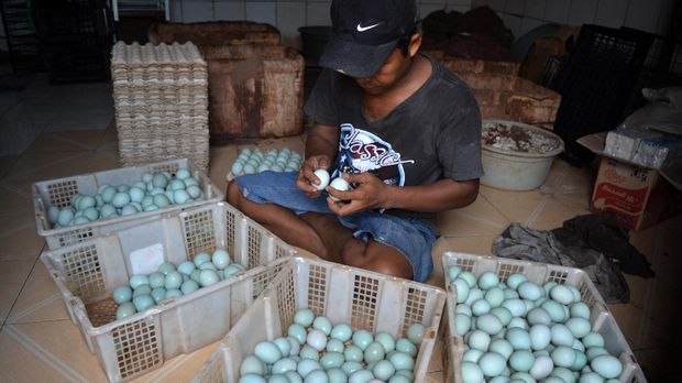 Peternak memilah telur bebek untuk diasinkan di rumah industri kampung bebek Desa Kebon Sari, Candi, Sidoarjo, Jawa Timur, Sabtu (22/7). Peternak bebek setempat mengeluhkan naiknya harga garam dari Rp150.000 menjadi Rp400.000 per 50 kilogram sehingga mengakibatkan naiknya biaya produksi telur asin. ANTARA FOTO/Umarul Faruq/kye/17