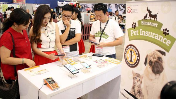 Perlindungan Maksimal untuk Hewan Kesayangan