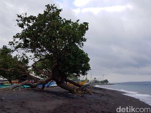 Foto: Calon Pantai Khusus Perempuan yang Baru di Banyuwangi