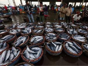 Yuk Ikutan Festival Ikan dan Lomba Masak Nusantara di Pontianak