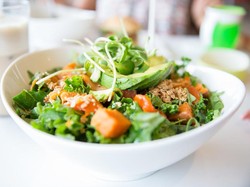 Bukannya Kaget, Temukan Kodok di Saladnya Wanita Ini Justru Memeliharanya