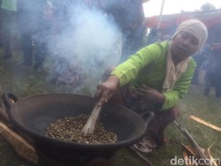 Festival Nggoreng Kopi Tandai Peresmian Desa Wisata Kopi di Pasuruan