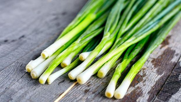 Ilustrasi cara menyimpan daun bawang agar tetap segar