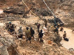 Polda Kalbar Tangkap 77 Penambang Emas Ilegal