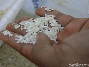 Meski Anjlok, Saham Induk PT IBU Masih Direkomendasikan Meski Anjlok, Saham Induk PT IBU Masih Direkomendasikan
