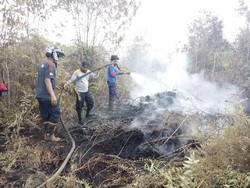 Satgas Karhutla Lakukan Pemadaman Kebakaran Lahan di Siak