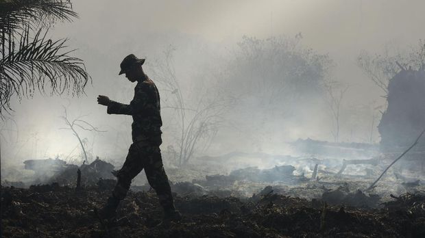 Turis dan Makhlus Halus, Dua 'Masalah' Hidup Rimbawan