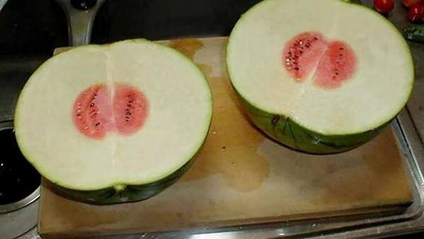 Wah! Saat Dimakan 10 Makanan Ini Kok Bikin Kecewa Ya!