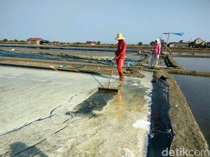 Garam untuk Industri RI Dipasok dari Australia