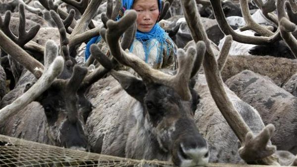 Foto: Manusia di Suhu -50 Derajat Celcius