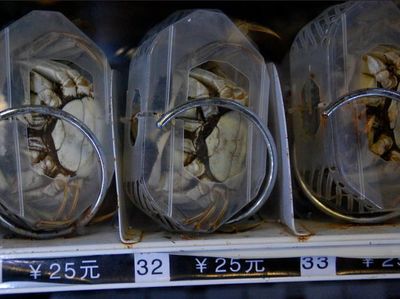 Vending Machine Ini Jual Beras, Kepiting Sampai Kaviar Rp 6 Juta!