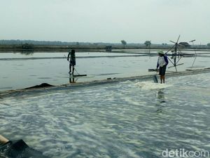 Menperin: Investor Mau Produksi Garam RI, Tapi Terganjal Lahan