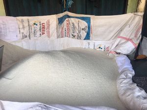 Asosiasi Pedagang Pajale Jatim Desak Pemerintah Tetapkan HET Beras Asosiasi Pedagang Pajale Jatim Desak Pemerintah Tetapkan HET Beras