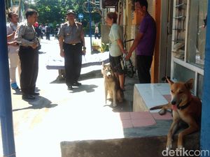 Anjing-anjing di Kediri Sering Gigit Warga, Polisi Turun Tangan