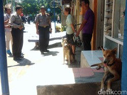 Anjing-anjing di Kediri Sering Gigit Warga, Polisi Turun Tangan
