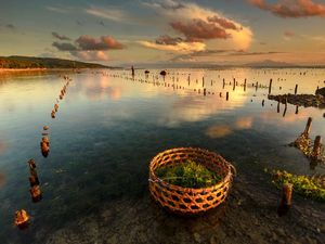 Di Sini Anda Bisa Cicipi Tiram Segar dari Bitung dan Lobster dari Papua Di Sini Anda Bisa Cicipi Tiram Segar dari Bitung dan Lobster dari Papua