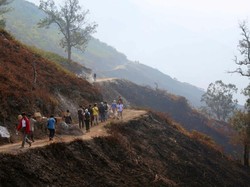 Meski Lereng Terbakar, Pendakian Ke Kawah Ijen Tak Terganggu