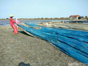 Pemerintah akan Impor Garam, Ini Harapan Petani Garam di Sidoarjo