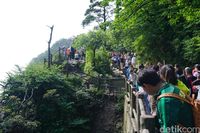 Meniti anak tangga demi bertemu Sang Buddha (Wahyu/detikTravel)