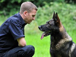 Berniat Kabur, Pencuri Ini Gigit Kepala Anjing Polisi