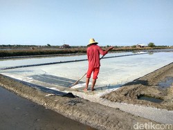 Selain Madura, Daerah di NTT Ini Cocok untuk Produksi Garam
