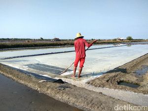 Selain Madura, Daerah di NTT Ini Cocok untuk Produksi Garam Selain Madura, Daerah di NTT Ini Cocok untuk Produksi Garam