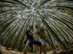 Dab Dance di Hutan Pinus