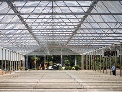 Melihat Perkebunan Ganja Medis di Queensland