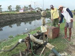 Kekeringan, Petani di Brebes Manfaatkan Air Limbah Untuk Irigasi