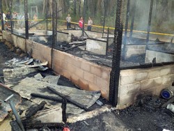Tragis! Nenek dan 2 Cucu Tewas dalam Kebakaran di Rokan Hilir