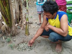 Ratusan Amunisi Diduga Peninggalan Perang Ditemukan di Kebun