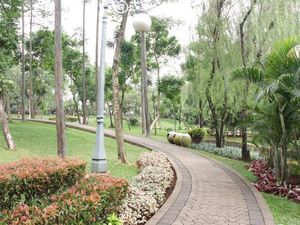 Ada yang Segar-segar di Jakarta