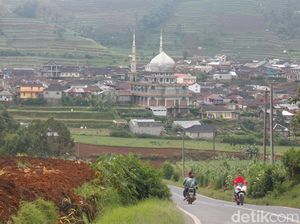 Jelang DCF 2017, Homestay di Dieng Sudah Penuh Dipesan Sejak Mei Jelang DCF 2017, Homestay di Dieng Sudah Penuh Dipesan Sejak Mei