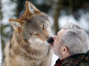 Foto: Manusia Setengah Serigala