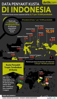 Infografis data kusta di Indonesia.