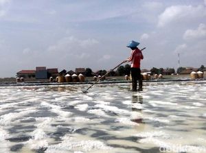 Pakai Teknologi Ini, Produksi Garam Cuma 4 Hari Pakai Teknologi Ini, Produksi Garam Cuma 4 Hari