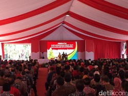 Aleks, Pelestari Cendrawasih dari Papua yang Buat Jokowi Kagum