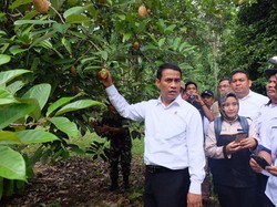 Mentan Fokus Garap Rempah-rempah di Aceh Hingga Maluku