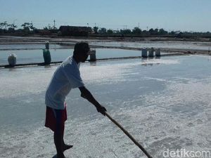 Petani di Rembang Khawatir Tersaingi Garam Impor