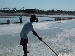 Ini Kata Petani Garam di Rembang Soal Kebijakan Impor oleh Pemerintah
